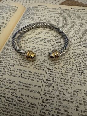 Gold & Silver Twisted Cable Hinged Bangle Bracelet - Classic Women's Jewelry